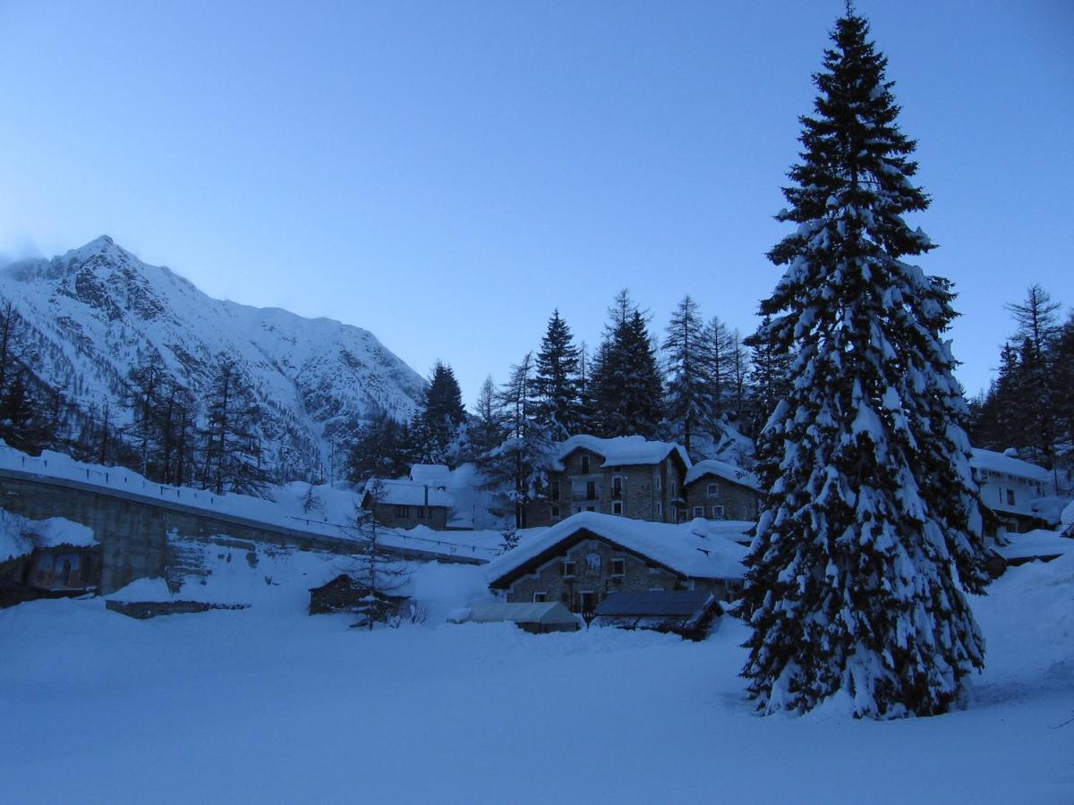 Chalet Del Lago Черезоле-Реале Екстер'єр фото